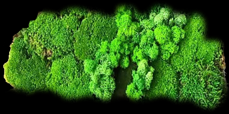 沙盘（底座造景）艺术装置